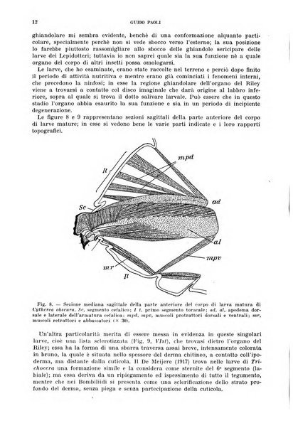 Redia giornale di entomologia pubblicato dalla R. Stazione di entomologia agraria