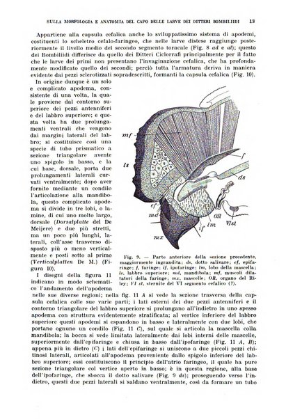 Redia giornale di entomologia pubblicato dalla R. Stazione di entomologia agraria