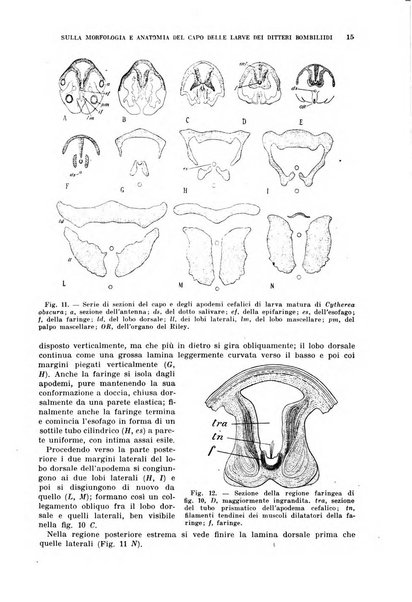 Redia giornale di entomologia pubblicato dalla R. Stazione di entomologia agraria