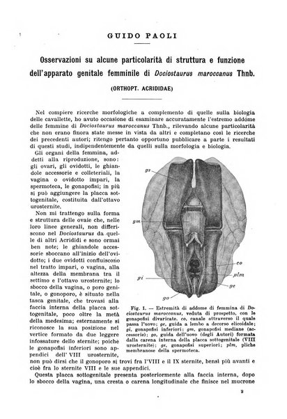 Redia giornale di entomologia pubblicato dalla R. Stazione di entomologia agraria