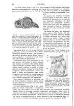 giornale/UFI0040156/1937/unico/00000030
