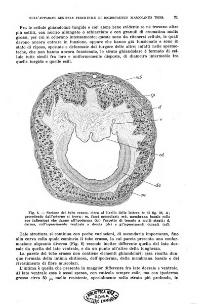 Redia giornale di entomologia pubblicato dalla R. Stazione di entomologia agraria