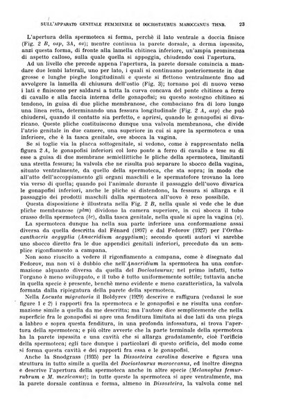 Redia giornale di entomologia pubblicato dalla R. Stazione di entomologia agraria