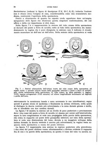 Redia giornale di entomologia pubblicato dalla R. Stazione di entomologia agraria