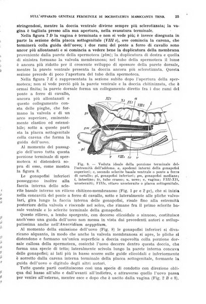 Redia giornale di entomologia pubblicato dalla R. Stazione di entomologia agraria