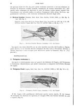 giornale/UFI0040156/1937/unico/00000058