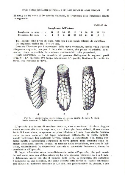 Redia giornale di entomologia pubblicato dalla R. Stazione di entomologia agraria