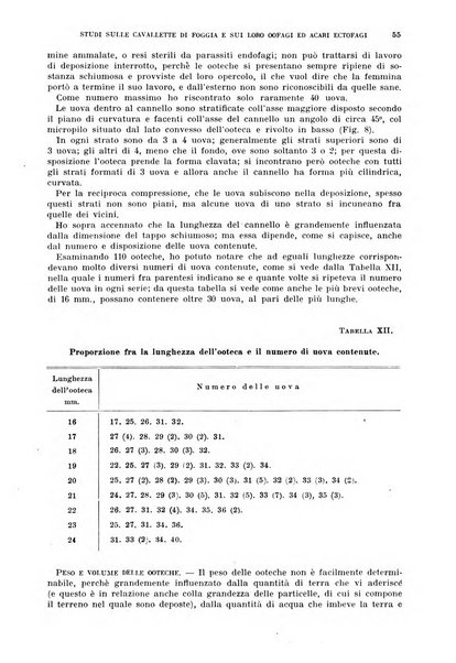 Redia giornale di entomologia pubblicato dalla R. Stazione di entomologia agraria