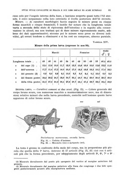 Redia giornale di entomologia pubblicato dalla R. Stazione di entomologia agraria