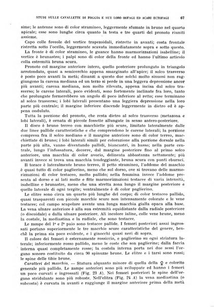 Redia giornale di entomologia pubblicato dalla R. Stazione di entomologia agraria