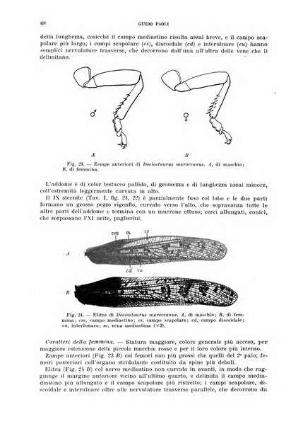 Redia giornale di entomologia pubblicato dalla R. Stazione di entomologia agraria