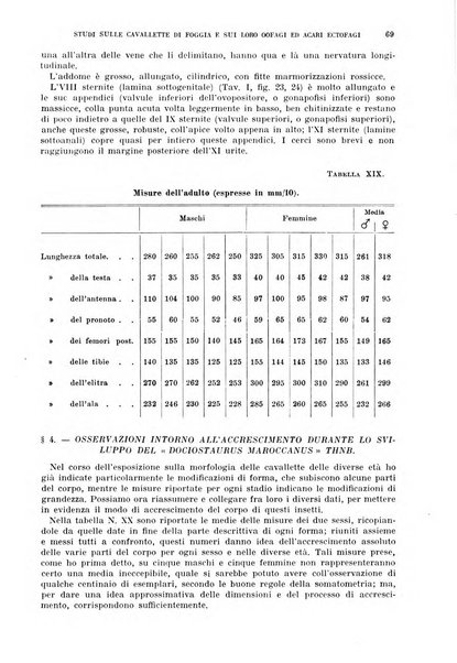 Redia giornale di entomologia pubblicato dalla R. Stazione di entomologia agraria