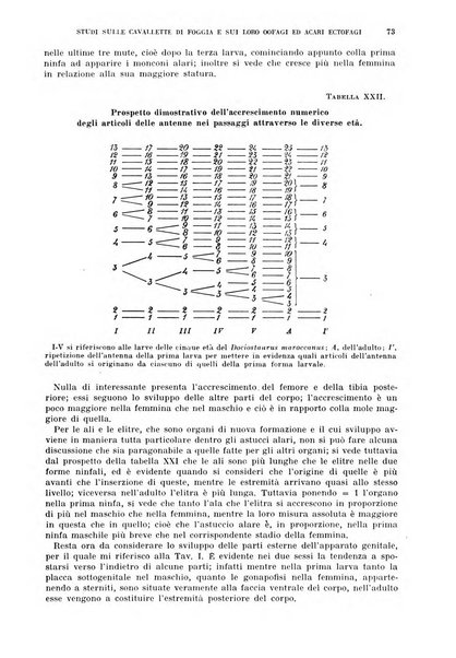 Redia giornale di entomologia pubblicato dalla R. Stazione di entomologia agraria