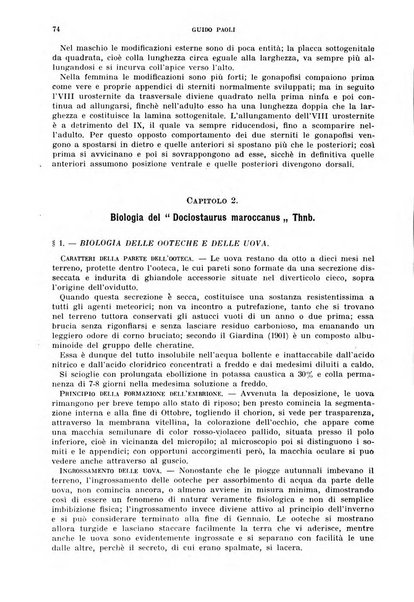 Redia giornale di entomologia pubblicato dalla R. Stazione di entomologia agraria