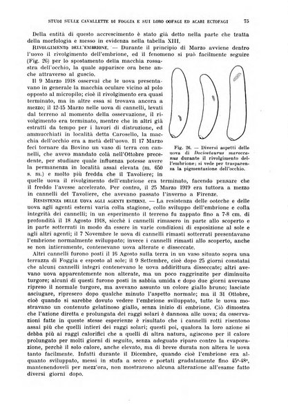 Redia giornale di entomologia pubblicato dalla R. Stazione di entomologia agraria