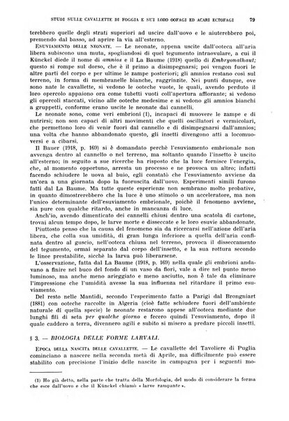 Redia giornale di entomologia pubblicato dalla R. Stazione di entomologia agraria