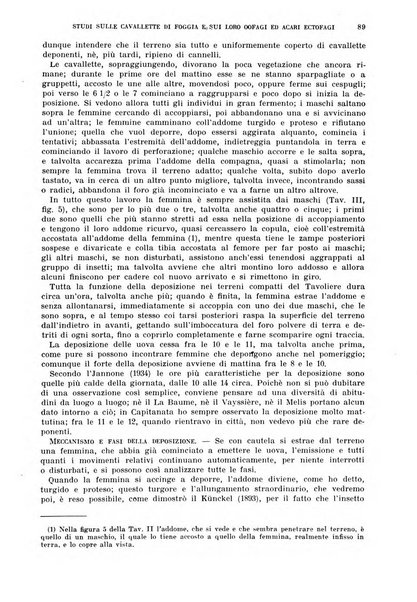 Redia giornale di entomologia pubblicato dalla R. Stazione di entomologia agraria