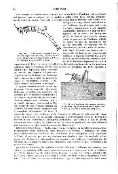 Redia giornale di entomologia pubblicato dalla R. Stazione di entomologia agraria