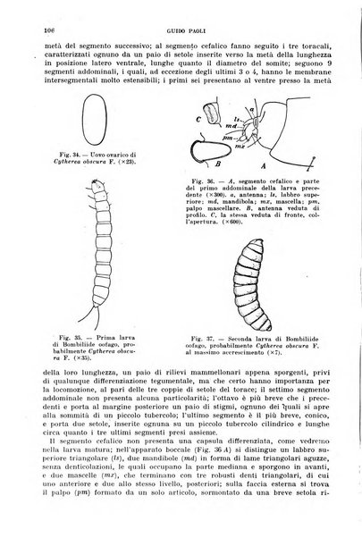 Redia giornale di entomologia pubblicato dalla R. Stazione di entomologia agraria