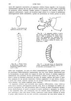 giornale/UFI0040156/1937/unico/00000116