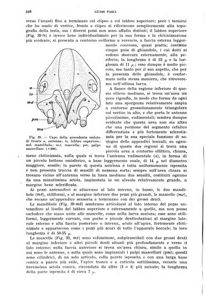 Redia giornale di entomologia pubblicato dalla R. Stazione di entomologia agraria