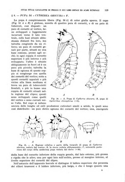 Redia giornale di entomologia pubblicato dalla R. Stazione di entomologia agraria