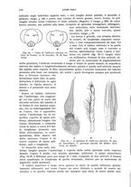 giornale/UFI0040156/1937/unico/00000126