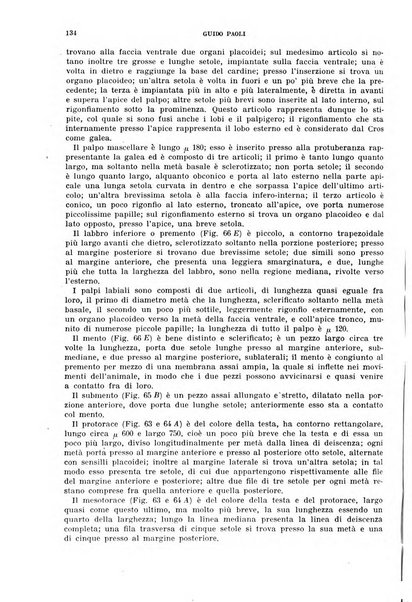 Redia giornale di entomologia pubblicato dalla R. Stazione di entomologia agraria