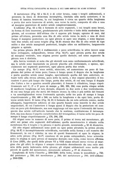 Redia giornale di entomologia pubblicato dalla R. Stazione di entomologia agraria