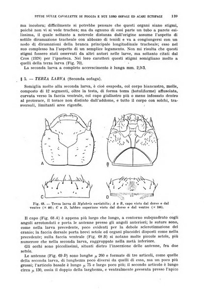 Redia giornale di entomologia pubblicato dalla R. Stazione di entomologia agraria