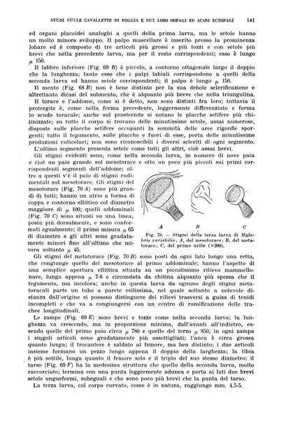 Redia giornale di entomologia pubblicato dalla R. Stazione di entomologia agraria