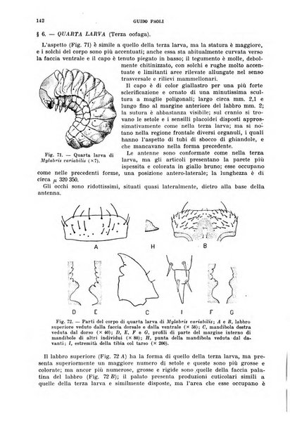 Redia giornale di entomologia pubblicato dalla R. Stazione di entomologia agraria