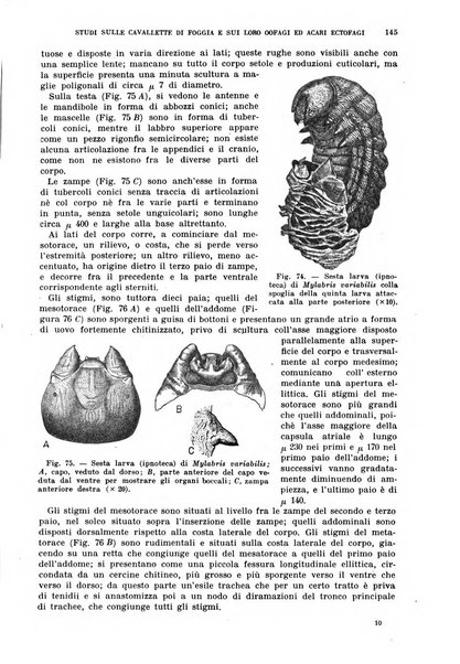 Redia giornale di entomologia pubblicato dalla R. Stazione di entomologia agraria