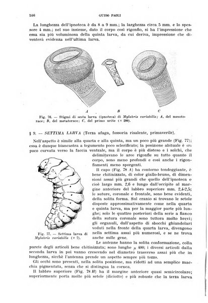 Redia giornale di entomologia pubblicato dalla R. Stazione di entomologia agraria