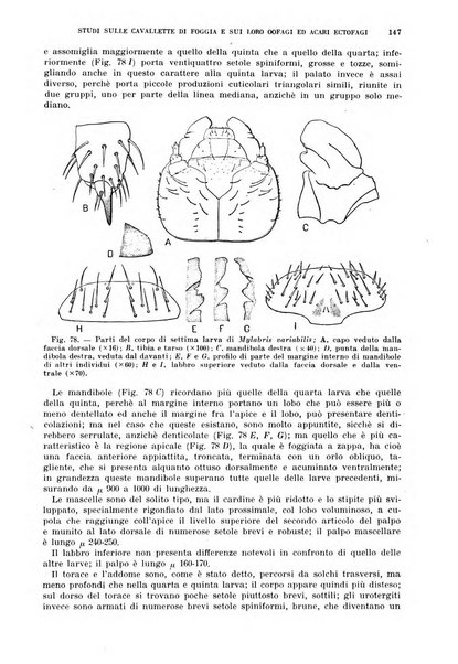 Redia giornale di entomologia pubblicato dalla R. Stazione di entomologia agraria