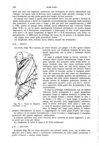 Redia giornale di entomologia pubblicato dalla R. Stazione di entomologia agraria