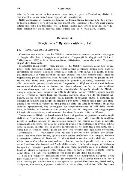 Redia giornale di entomologia pubblicato dalla R. Stazione di entomologia agraria