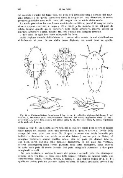 Redia giornale di entomologia pubblicato dalla R. Stazione di entomologia agraria