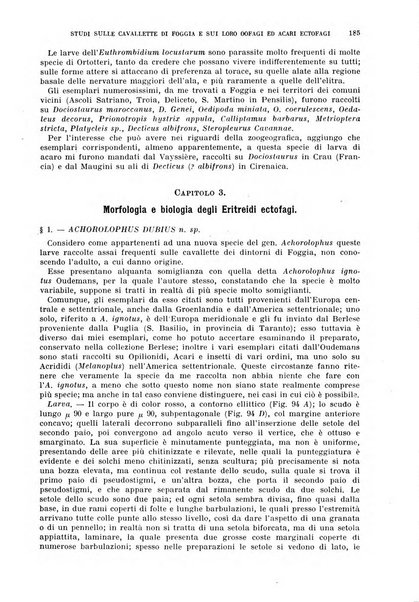 Redia giornale di entomologia pubblicato dalla R. Stazione di entomologia agraria