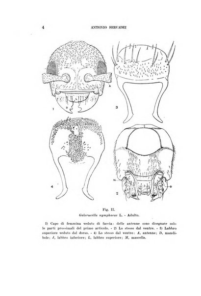 Redia giornale di entomologia pubblicato dalla R. Stazione di entomologia agraria