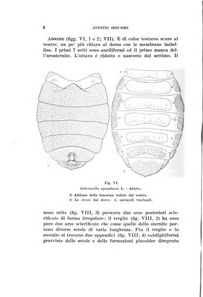 Redia giornale di entomologia pubblicato dalla R. Stazione di entomologia agraria