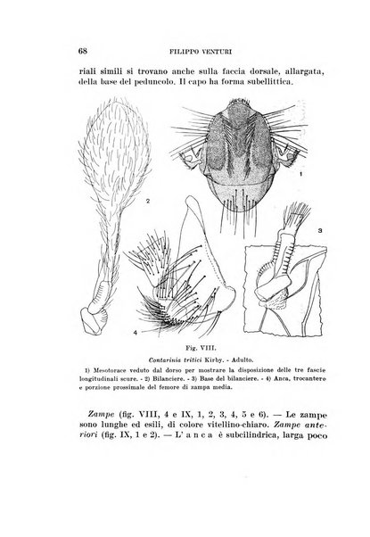 Redia giornale di entomologia pubblicato dalla R. Stazione di entomologia agraria