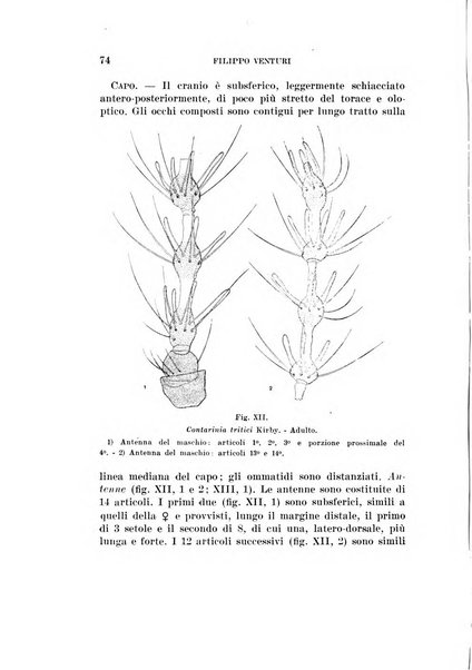 Redia giornale di entomologia pubblicato dalla R. Stazione di entomologia agraria