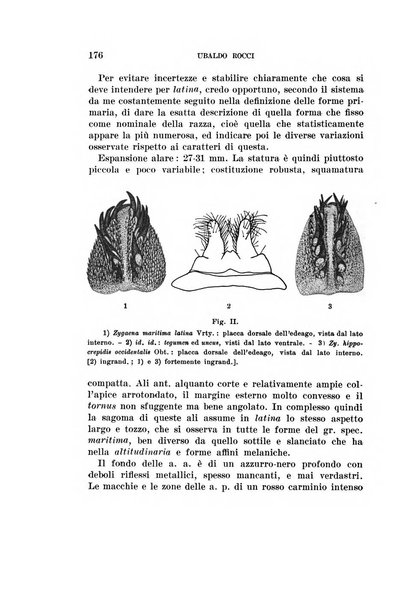 Redia giornale di entomologia pubblicato dalla R. Stazione di entomologia agraria