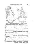 giornale/UFI0040156/1938/unico/00000239