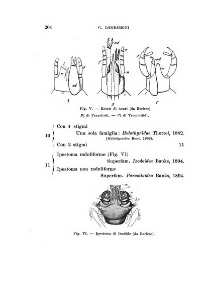 Redia giornale di entomologia pubblicato dalla R. Stazione di entomologia agraria