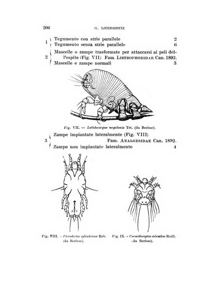 Redia giornale di entomologia pubblicato dalla R. Stazione di entomologia agraria