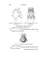 giornale/UFI0040156/1938/unico/00000244