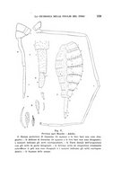 giornale/UFI0040156/1938/unico/00000265