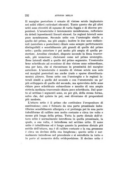 Redia giornale di entomologia pubblicato dalla R. Stazione di entomologia agraria